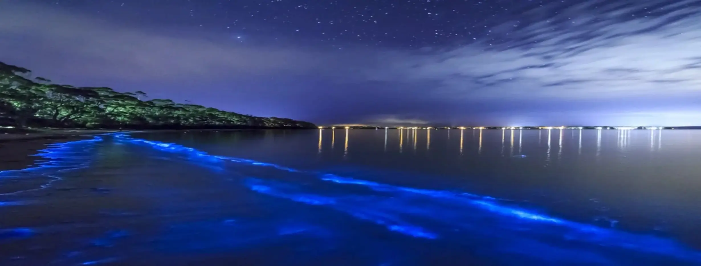 Image for Bioluminescent Bay